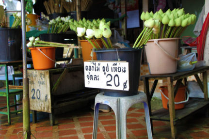 Chiang Mai {and the blog post that put me on the map}