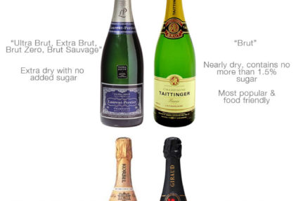 Guide To Champagne