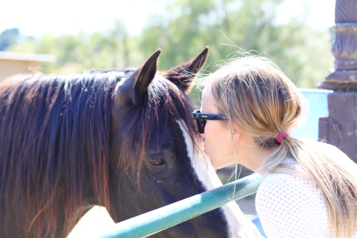 Kissing Horse