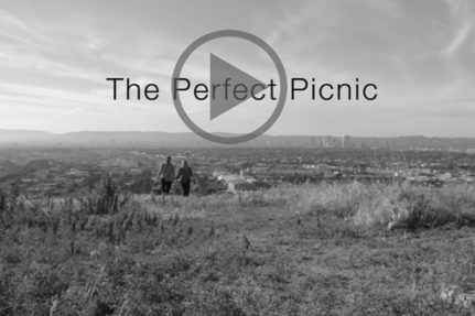 The Perfect Picnic {Video}