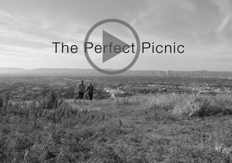The Perfect Picnic {Video}