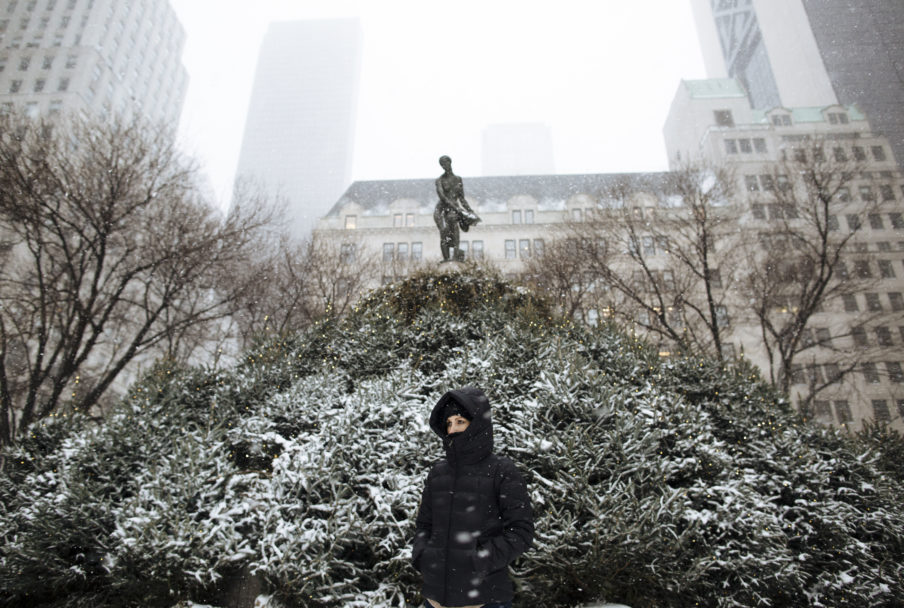 A Video Guide for Snow Days in NYC