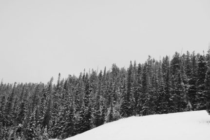 Aspen in January {Video}