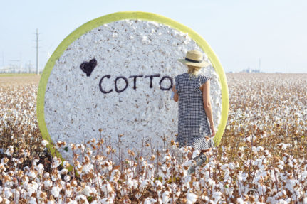 My Family Ties to Cotton {Video}